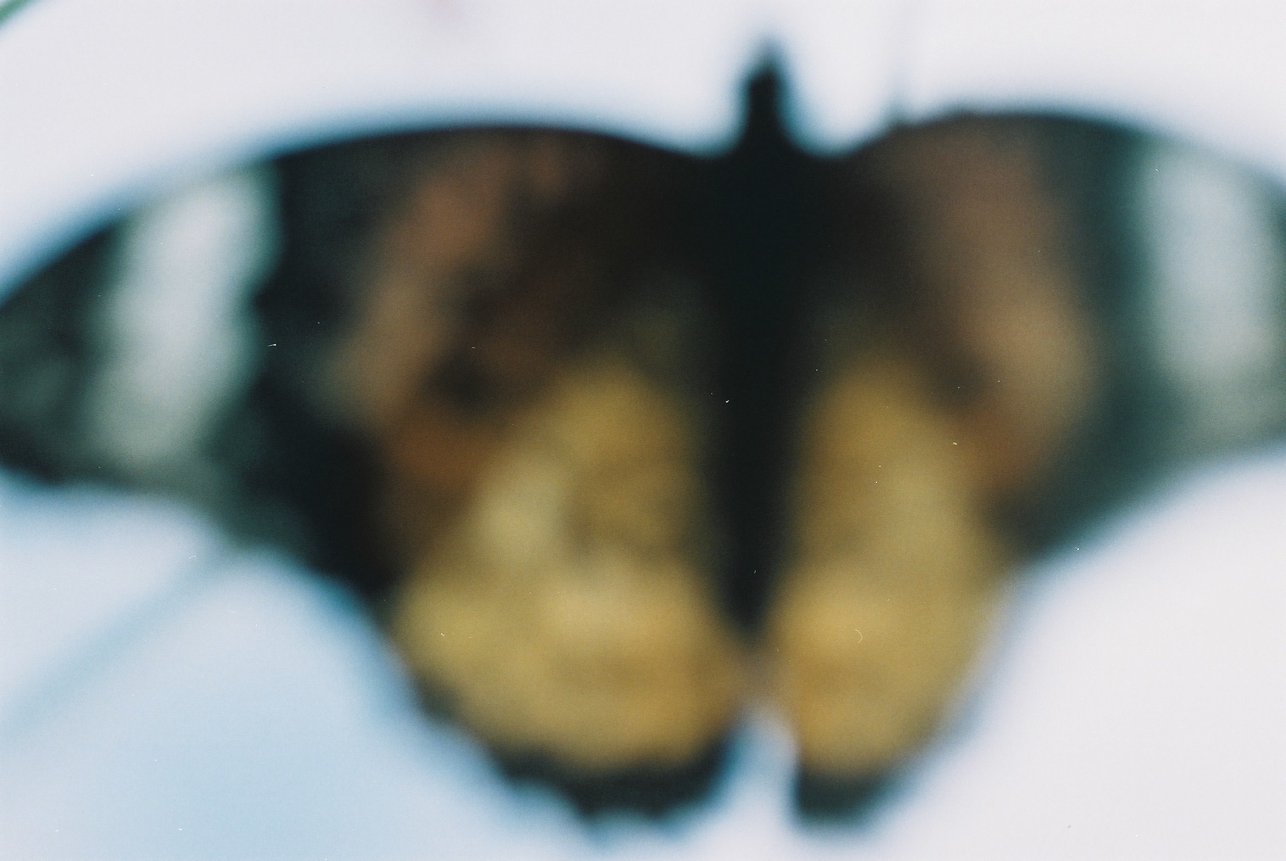 ever after（エバーアフター）